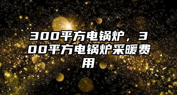 300平方電鍋爐，300平方電鍋爐采暖費(fèi)用