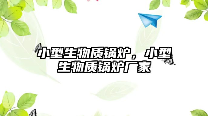 小型生物質(zhì)鍋爐，小型生物質(zhì)鍋爐廠家