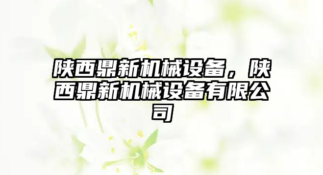 陜西鼎新機械設(shè)備，陜西鼎新機械設(shè)備有限公司