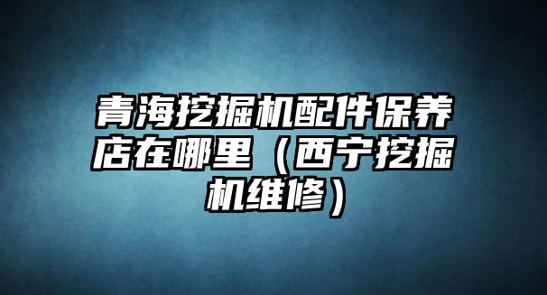 青海挖掘機(jī)配件保養(yǎng)店在哪里（西寧挖掘機(jī)維修）