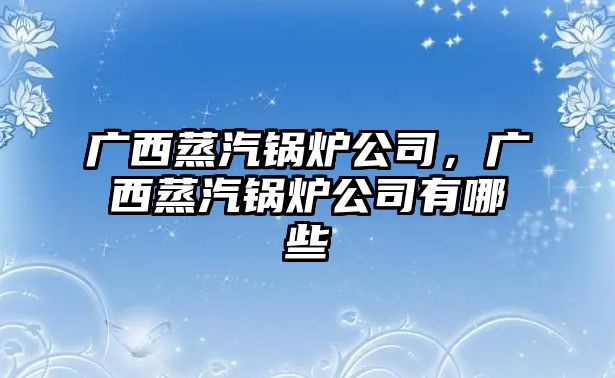 廣西蒸汽鍋爐公司，廣西蒸汽鍋爐公司有哪些