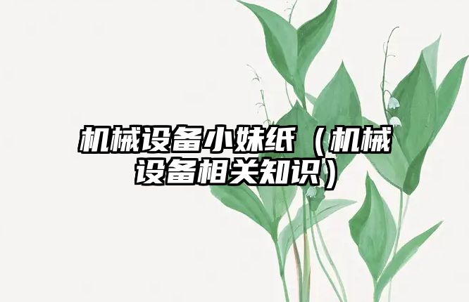 機械設備小妹紙（機械設備相關知識）