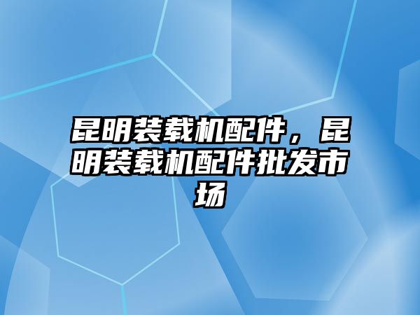 昆明裝載機配件，昆明裝載機配件批發(fā)市場