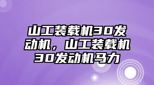 山工裝載機(jī)30發(fā)動機(jī)，山工裝載機(jī)30發(fā)動機(jī)馬力