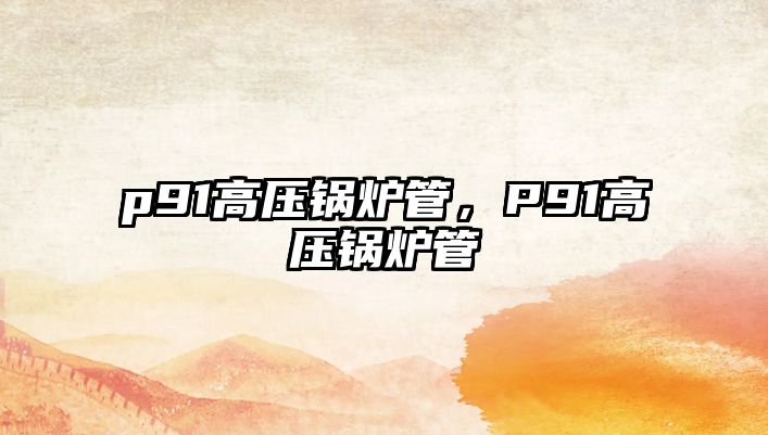 p91高壓鍋爐管，P91高壓鍋爐管