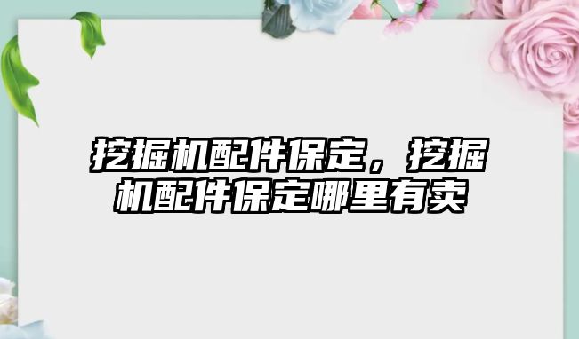 挖掘機配件保定，挖掘機配件保定哪里有賣