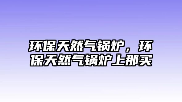 環(huán)保天然氣鍋爐，環(huán)保天然氣鍋爐上那買