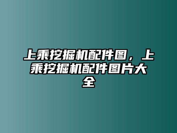 上乘挖掘機配件圖，上乘挖掘機配件圖片大全