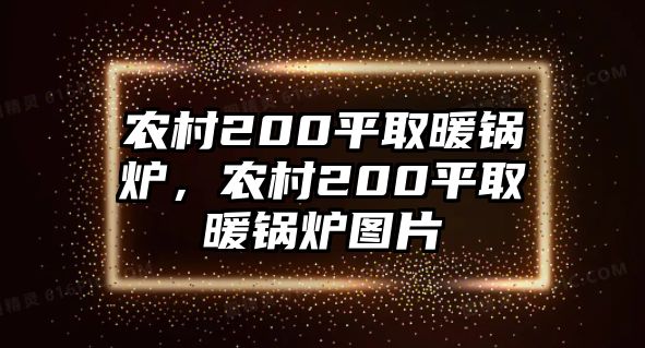 農(nóng)村200平取暖鍋爐，農(nóng)村200平取暖鍋爐圖片