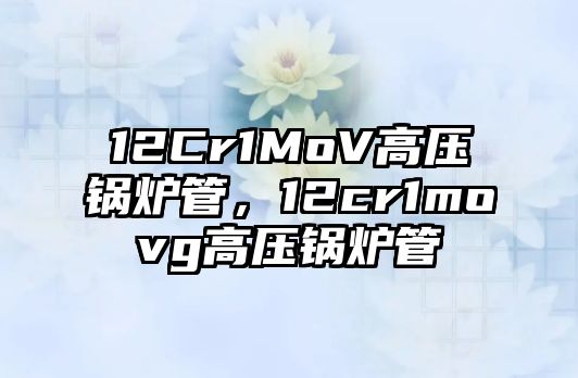 12Cr1MoV高壓鍋爐管，12cr1movg高壓鍋爐管