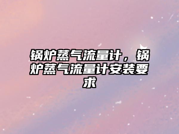 鍋爐蒸氣流量計，鍋爐蒸氣流量計安裝要求