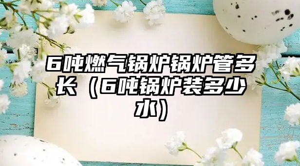 6噸燃?xì)忮仩t鍋爐管多長(zhǎng)（6噸鍋爐裝多少水）