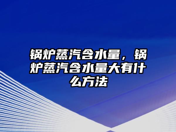 鍋爐蒸汽含水量，鍋爐蒸汽含水量大有什么方法