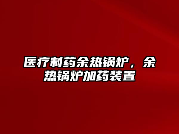 醫(yī)療制藥余熱鍋爐，余熱鍋爐加藥裝置