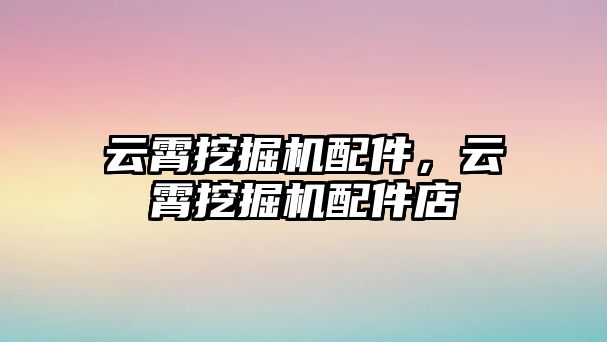 云霄挖掘機配件，云霄挖掘機配件店