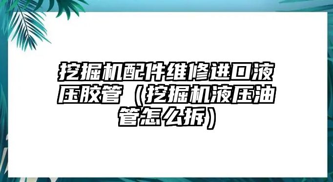 挖掘機配件維修進口液壓膠管（挖掘機液壓油管怎么拆）