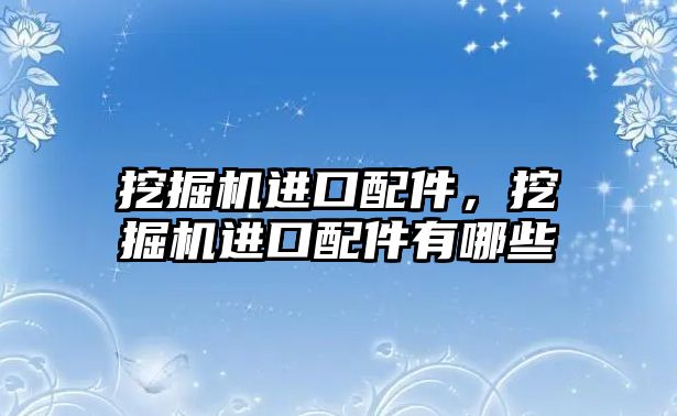 挖掘機進(jìn)口配件，挖掘機進(jìn)口配件有哪些