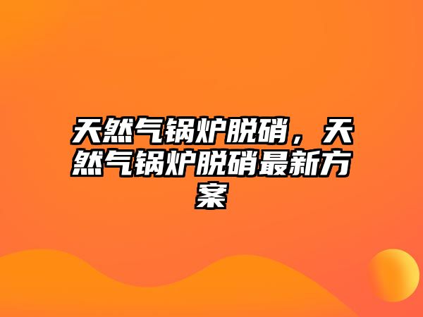 天然氣鍋爐脫硝，天然氣鍋爐脫硝最新方案