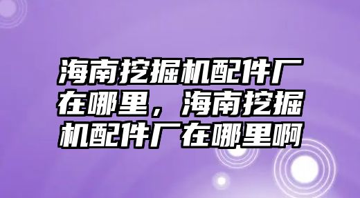 海南挖掘機(jī)配件廠在哪里，海南挖掘機(jī)配件廠在哪里啊