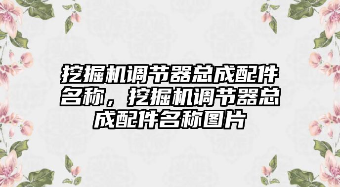 挖掘機調(diào)節(jié)器總成配件名稱，挖掘機調(diào)節(jié)器總成配件名稱圖片