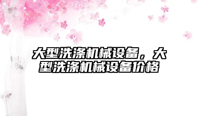 大型洗滌機械設備，大型洗滌機械設備價格