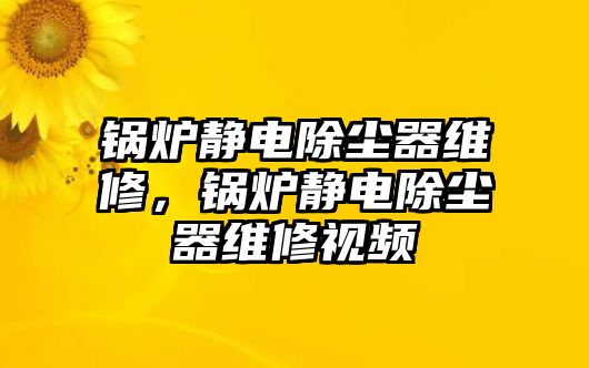 鍋爐靜電除塵器維修，鍋爐靜電除塵器維修視頻