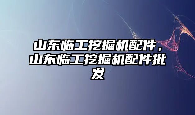 山東臨工挖掘機配件，山東臨工挖掘機配件批發(fā)