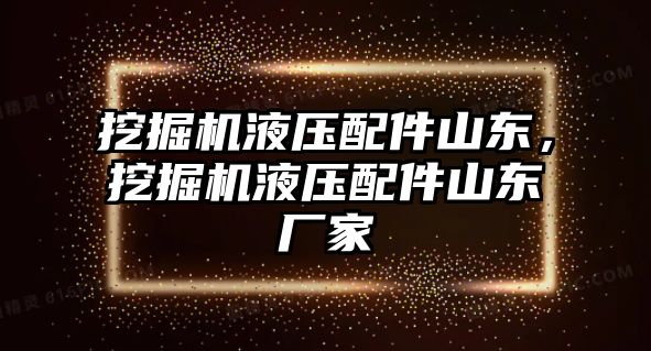 挖掘機液壓配件山東，挖掘機液壓配件山東廠家