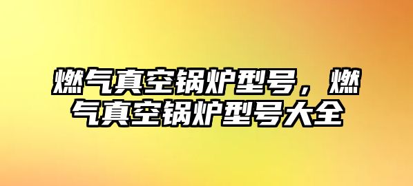 燃?xì)庹婵斟仩t型號，燃?xì)庹婵斟仩t型號大全