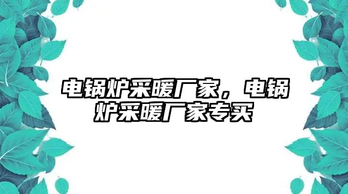 電鍋爐采暖廠家，電鍋爐采暖廠家專買