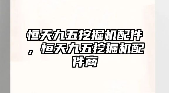 恒天九五挖掘機配件，恒天九五挖掘機配件商