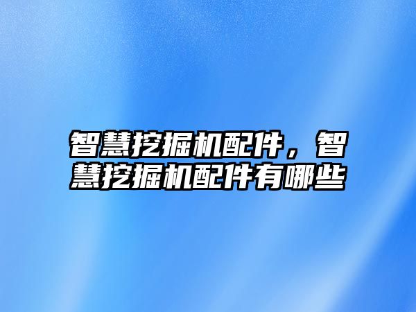 智慧挖掘機配件，智慧挖掘機配件有哪些