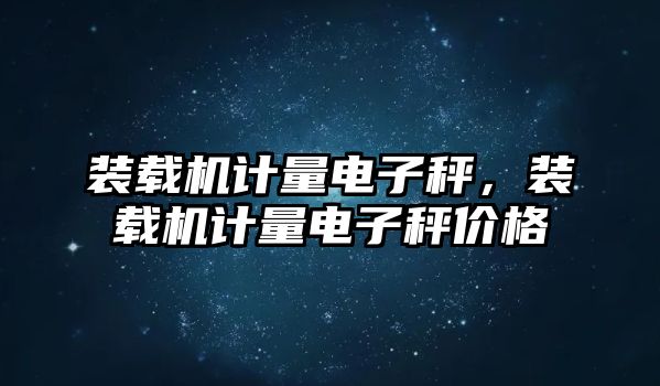 裝載機(jī)計(jì)量電子秤，裝載機(jī)計(jì)量電子秤價(jià)格