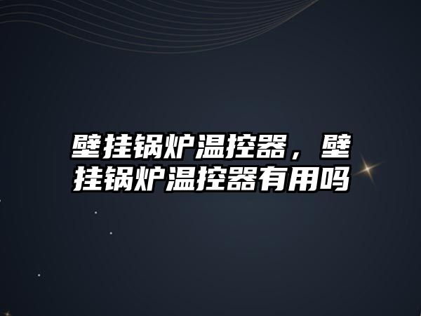 壁掛鍋爐溫控器，壁掛鍋爐溫控器有用嗎