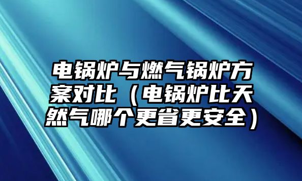 電鍋爐與燃?xì)忮仩t方案對比（電鍋爐比天然氣哪個(gè)更省更安全）