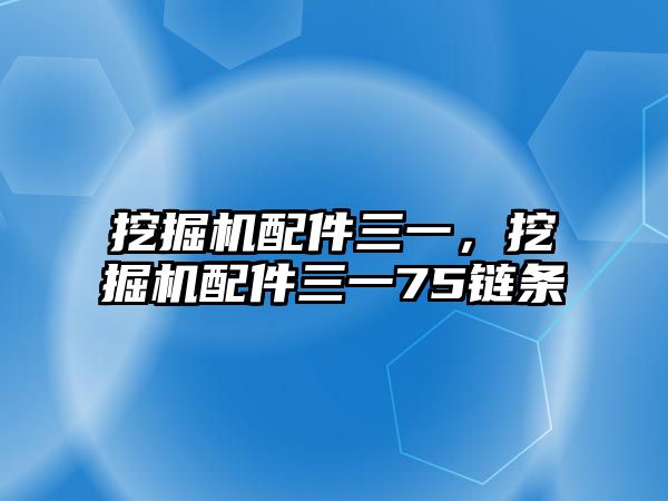 挖掘機配件三一，挖掘機配件三一75鏈條