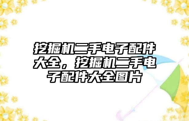 挖掘機(jī)二手電子配件大全，挖掘機(jī)二手電子配件大全圖片