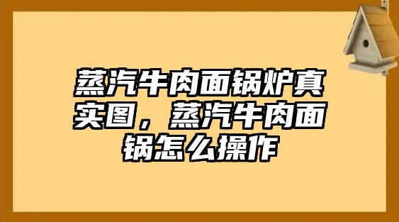 蒸汽牛肉面鍋爐真實圖，蒸汽牛肉面鍋怎么操作