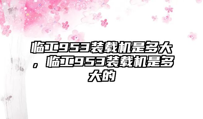 臨工953裝載機是多大，臨工953裝載機是多大的