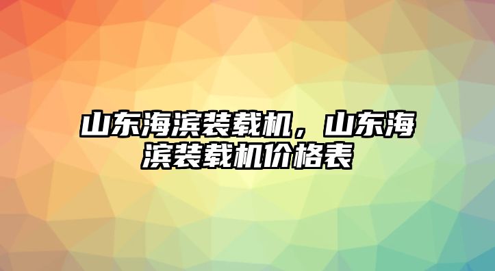 山東海濱裝載機，山東海濱裝載機價格表