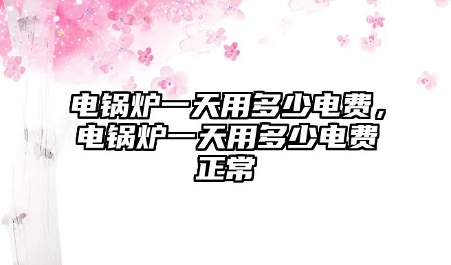 電鍋爐一天用多少電費，電鍋爐一天用多少電費正常