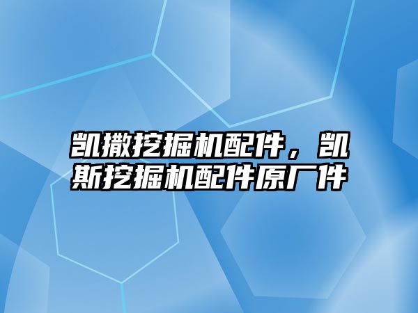 凱撒挖掘機配件，凱斯挖掘機配件原廠件