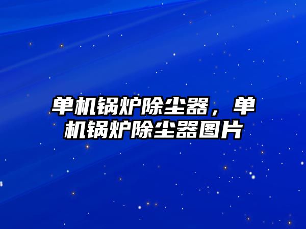 單機鍋爐除塵器，單機鍋爐除塵器圖片