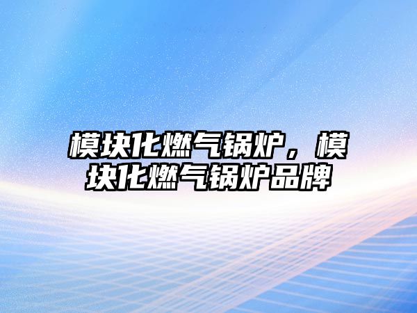 模塊化燃?xì)忮仩t，模塊化燃?xì)忮仩t品牌