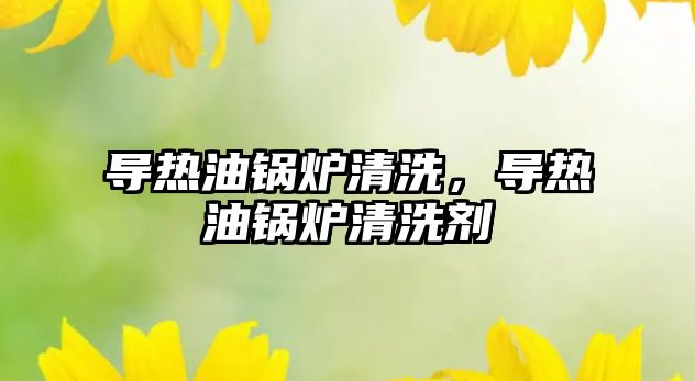 導(dǎo)熱油鍋爐清洗，導(dǎo)熱油鍋爐清洗劑