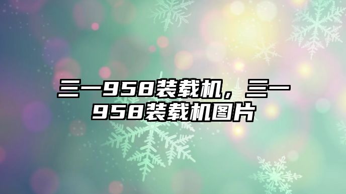 三一958裝載機(jī)，三一958裝載機(jī)圖片