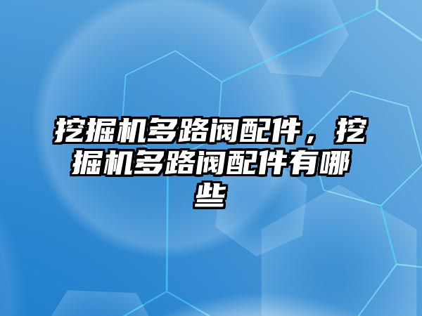 挖掘機(jī)多路閥配件，挖掘機(jī)多路閥配件有哪些