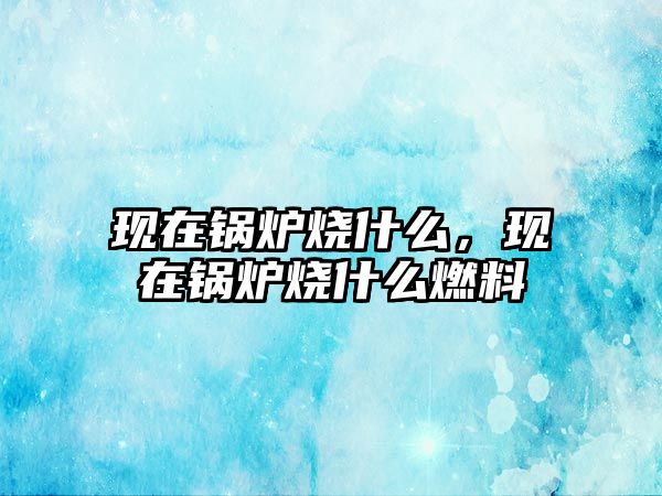 現(xiàn)在鍋爐燒什么，現(xiàn)在鍋爐燒什么燃料