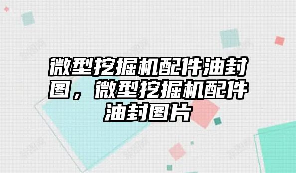 微型挖掘機配件油封圖，微型挖掘機配件油封圖片