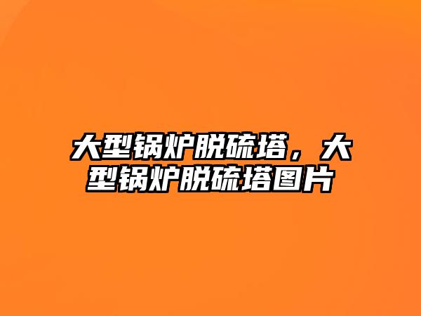 大型鍋爐脫硫塔，大型鍋爐脫硫塔圖片